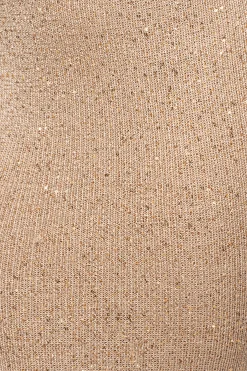 Beige Palace Sequin Skirt Set