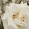Gold Davi Paved Ring