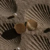 Gold Seashells Stud Earrings