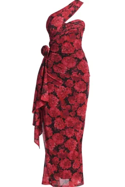 Pink Floral Villa Rosa Maxi Dress