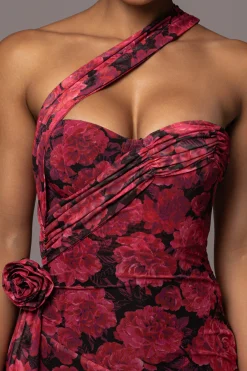 Pink Floral Villa Rosa Maxi Dress